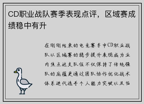 CD职业战队赛季表现点评，区域赛成绩稳中有升